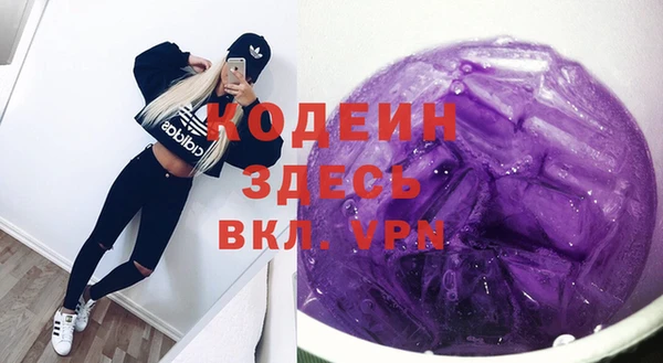 хмурый Алексин