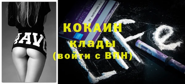 стаф Корсаков