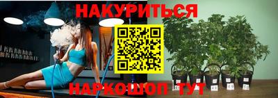 сатива Заводоуковск