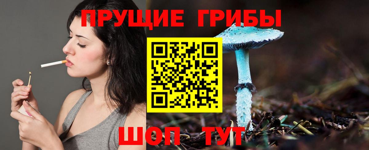 Мичуринск  Псилоцибиновые грибы Psilocybine cubensis  Псилоцибиновые грибы Psilocybine cubensis  где купить наркоту  Вход с VPN 